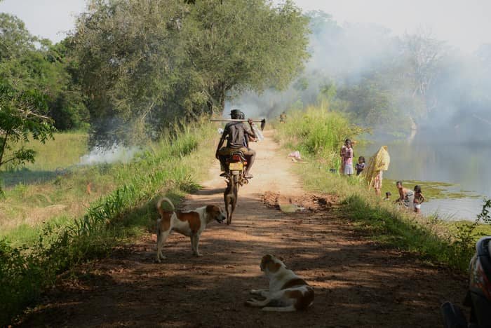 Sha Lanka Travels gallery photo