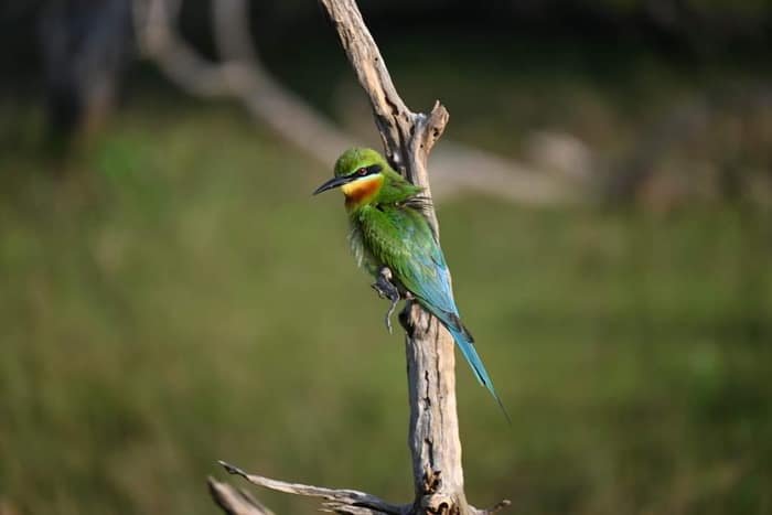 Sha Lanka Travels gallery photo